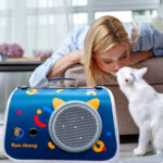 Caja Bolso transportadora de Mascotas Gatos o Perros - Azul - Imagen 4