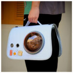 Caja Bolso transportadora de Mascotas Gatos o Perros - Verde - Imagen 2