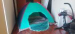 Carpa para Acampar o Camping tipo IGLU para 4 personas-Verde - Imagen 3